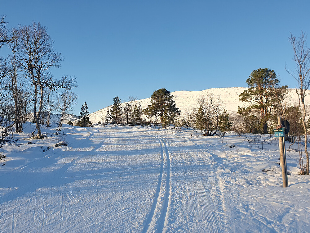 Ved stikk-uten på Berrmyran