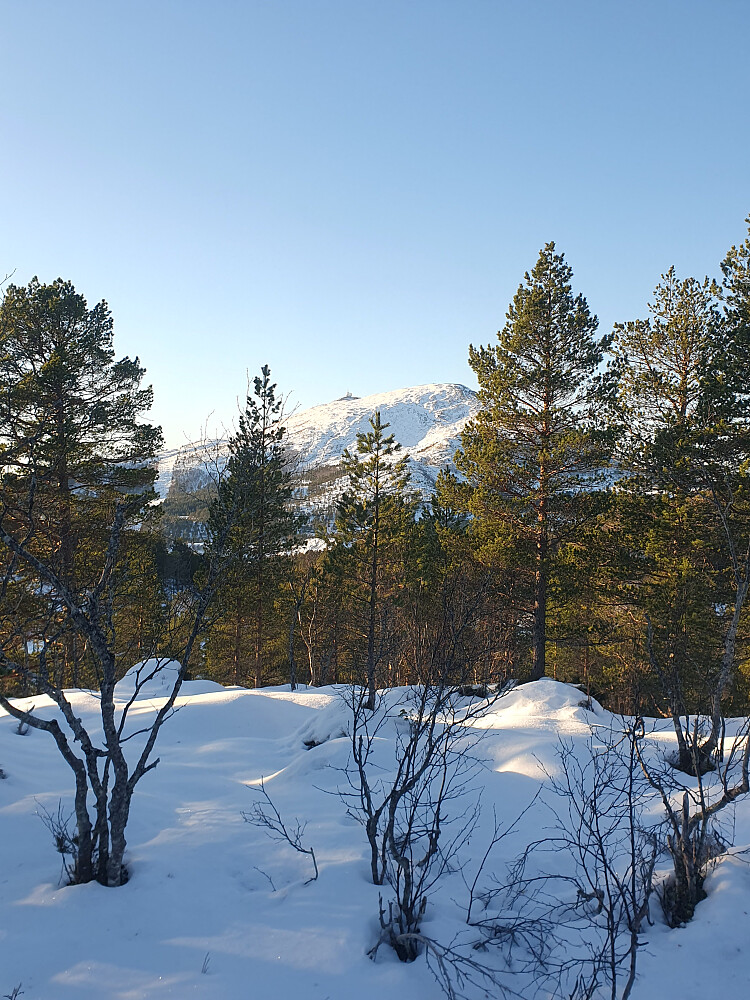 På Merrahaugen - mot Tusten