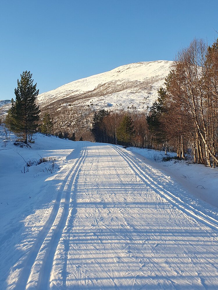 Ved Gunnillbu - mot Urfjellet 