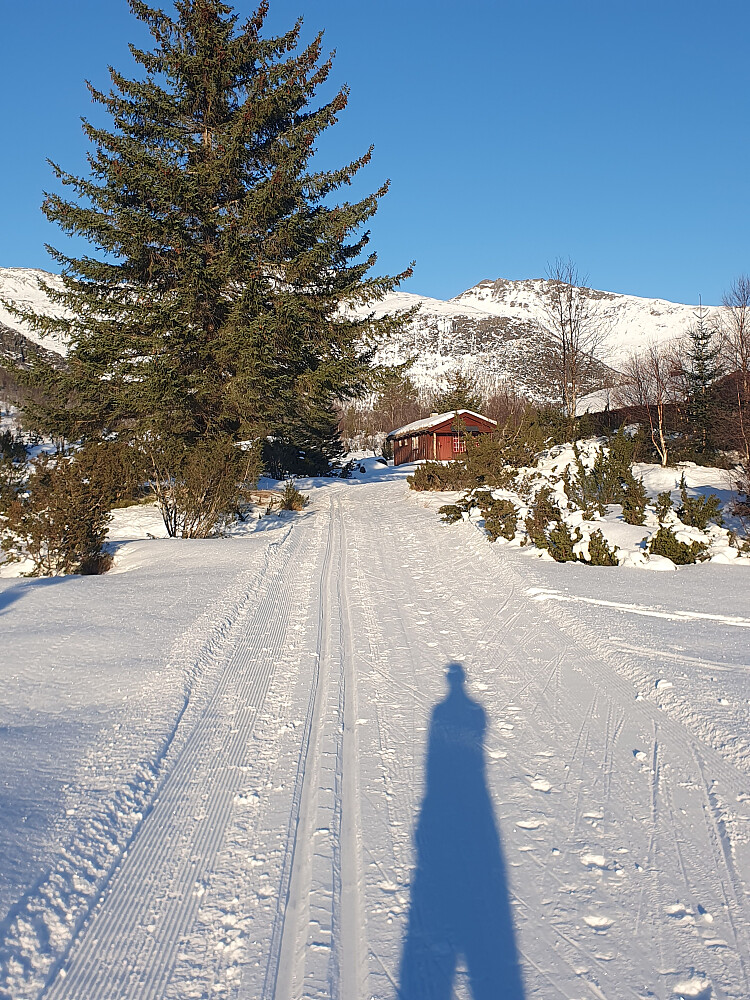 Malmesetra - mot Bjørnen  