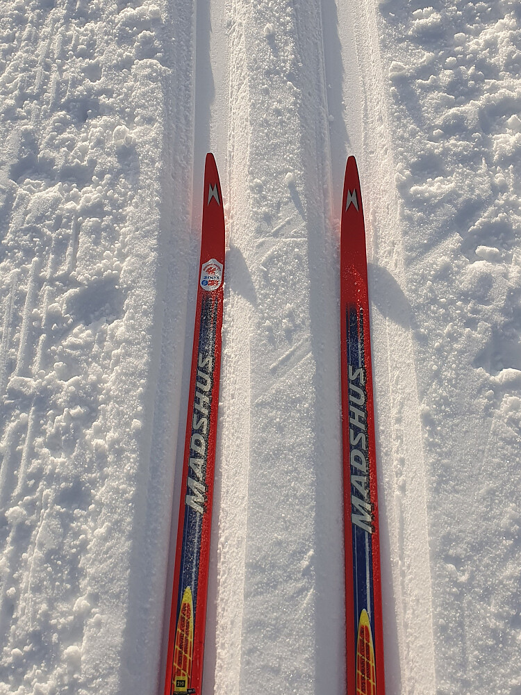 Perfekte ski med fiolett spesial/blå-extra 