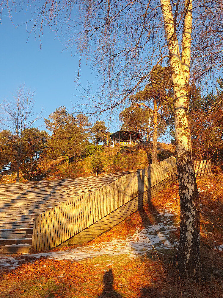 Rekneshaugen/Reknesparken 