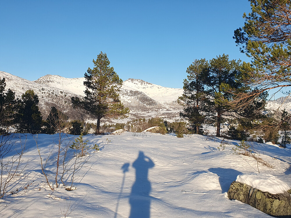 Haugan, mot Butippen og Bjørnen