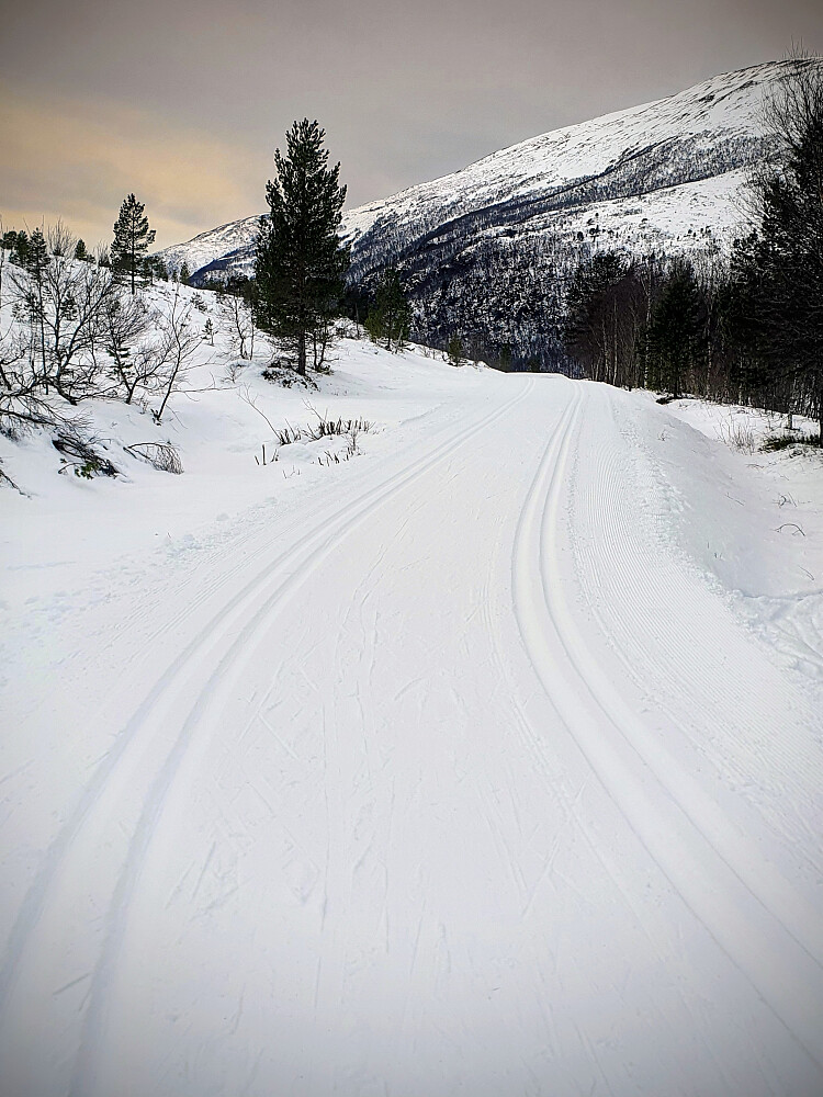 V/Gunnillbu - trikkeskinner 