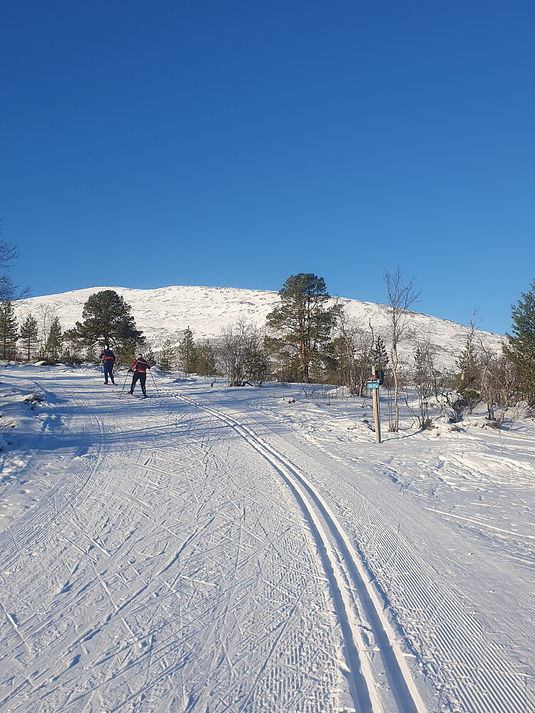 Ved stikk-uten på Berrmyran 