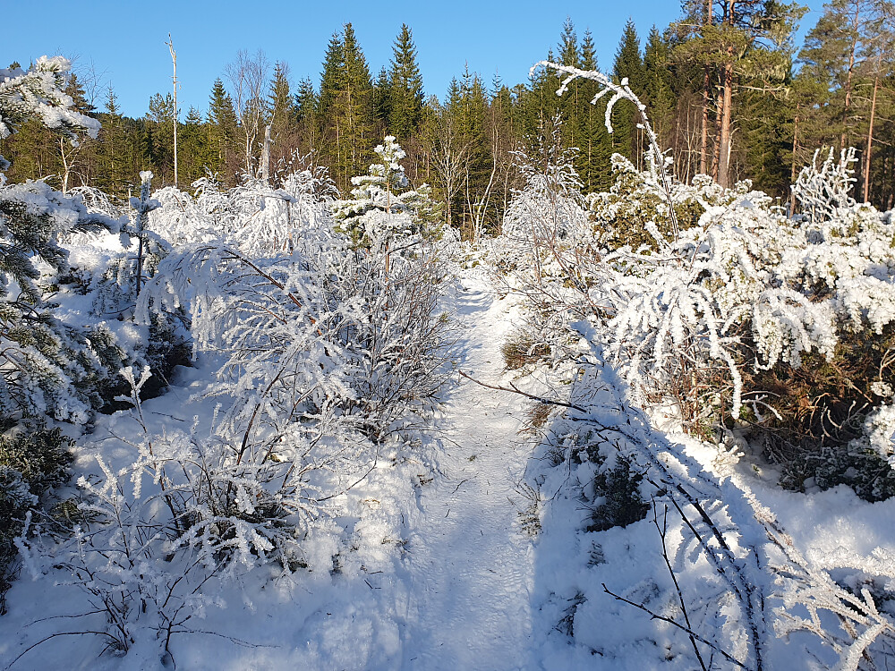 Litt fotvandring ved siden av fossene 