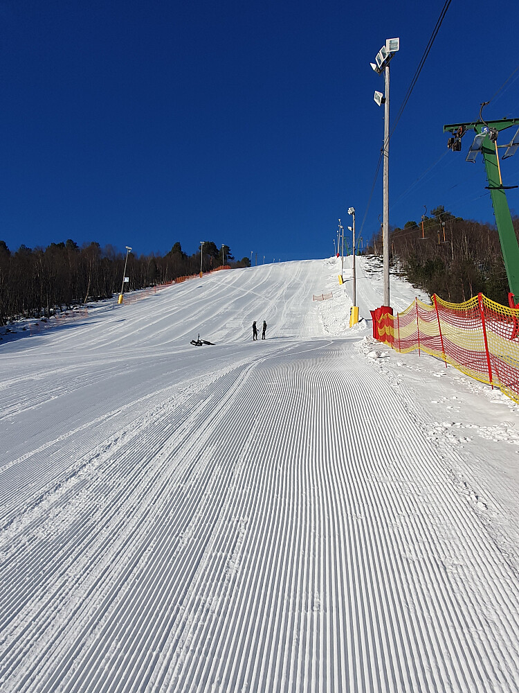 Opp henget til Brenthaugen andre tur