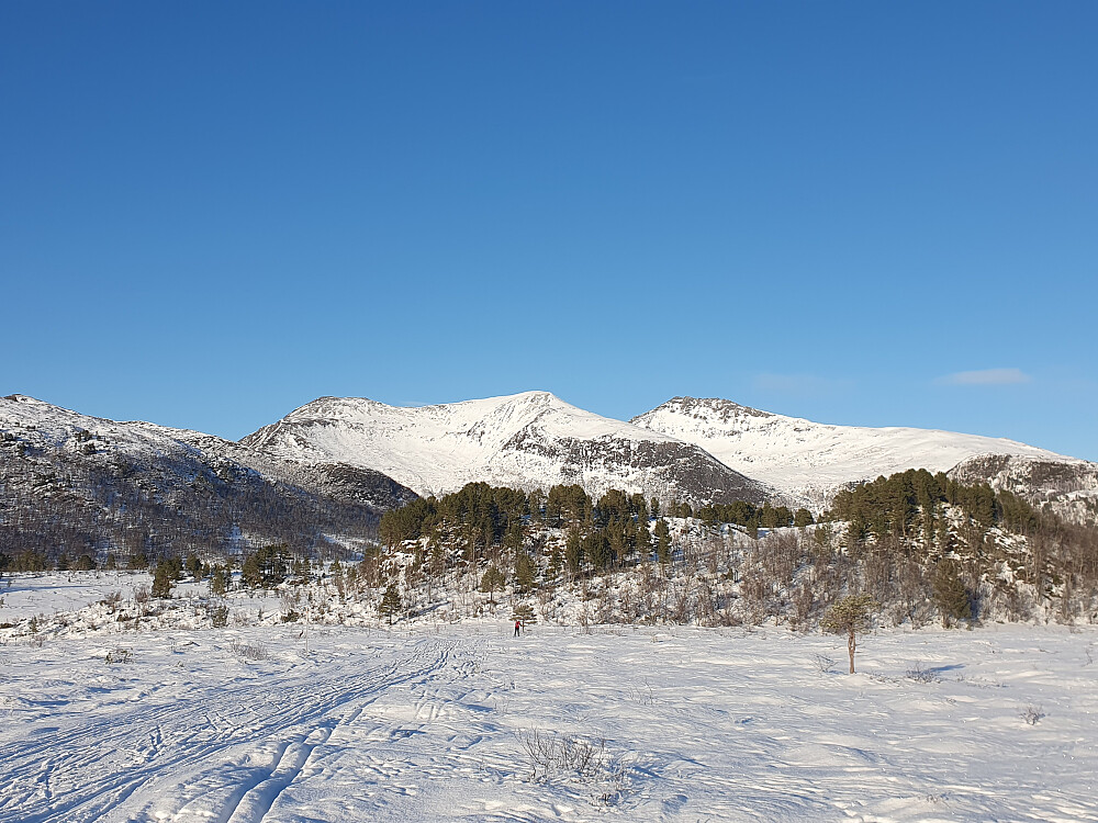 Berrmyran - mot Butippen og Bjørnen 
