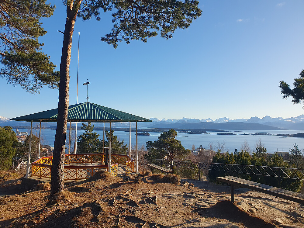 Stikk-ut på Rekneshaugen til slutt 