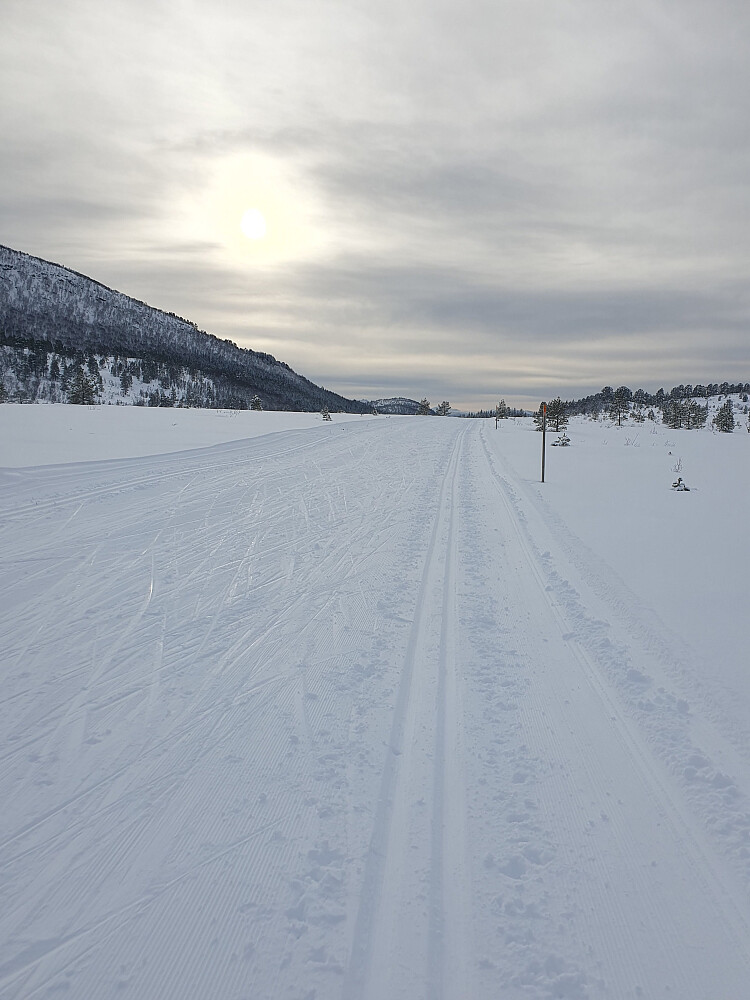 Tilbake over Berrmyran 