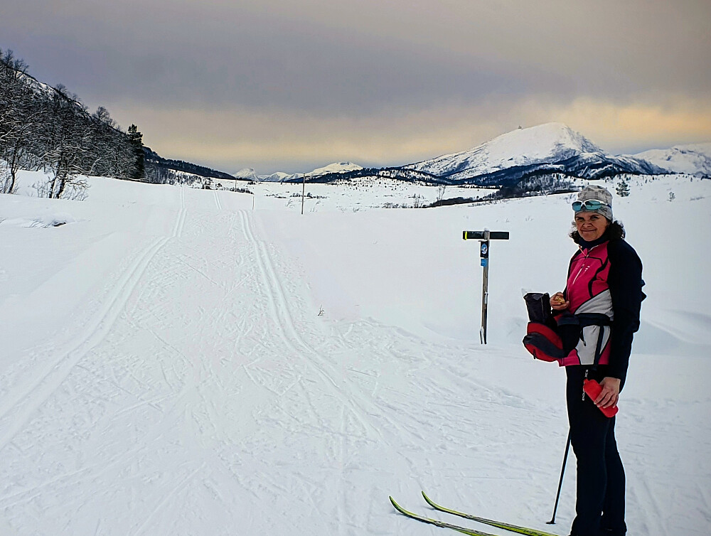 Tilbake over Langdalsreset syd 