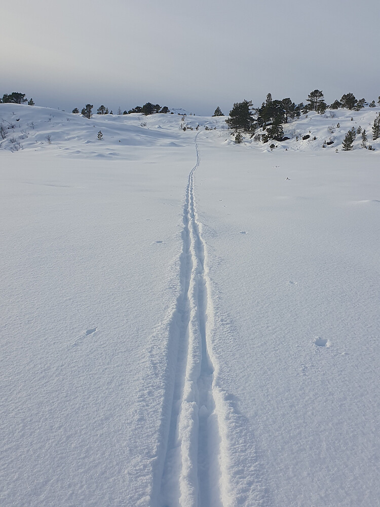Litt brøyting opp/ned fra Knausan 