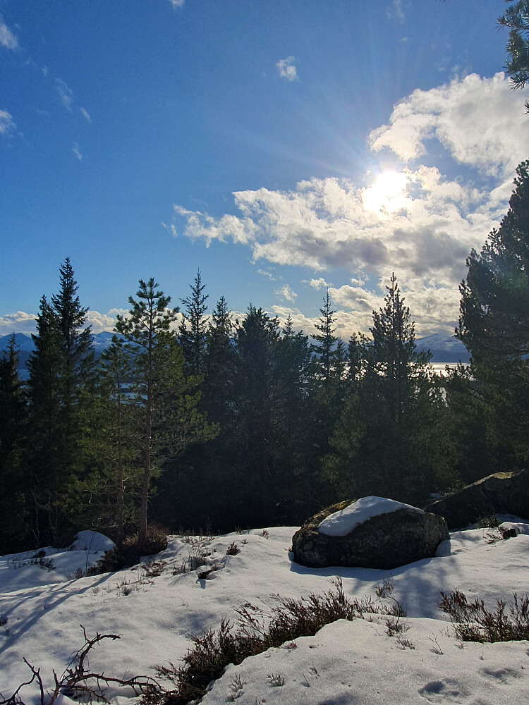 På Jensgurilia-toppen  