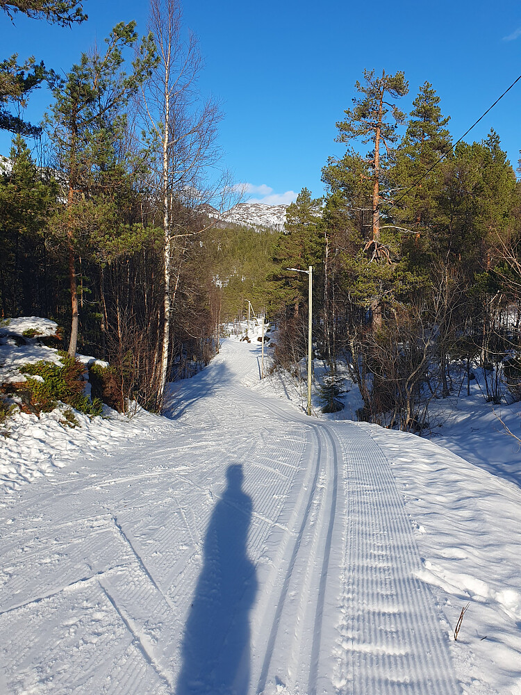 I lysløypa opp mot Jensgurilia 