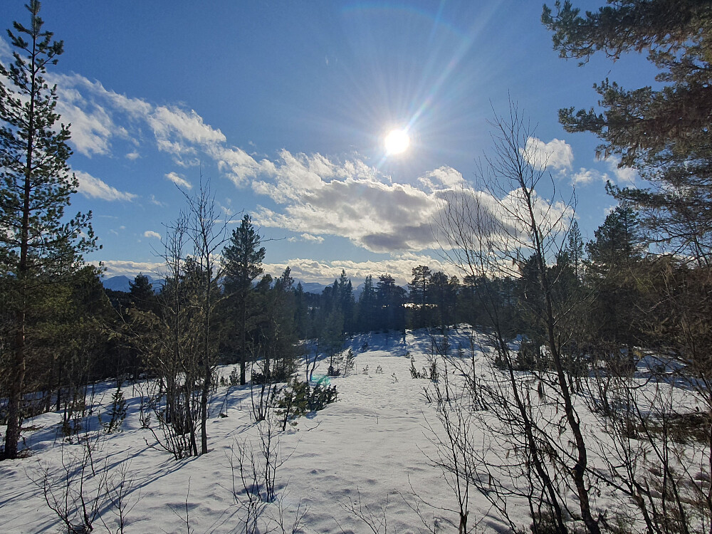På Moldegårdshaugen 