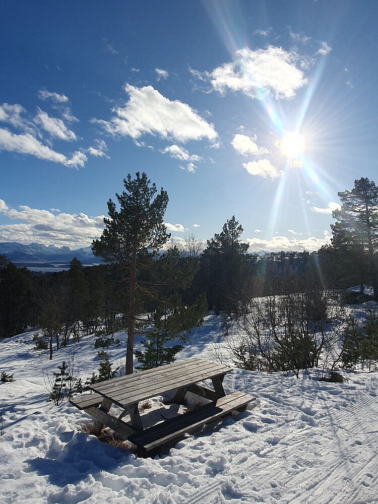Nesten oppe ved Tustenvegen 