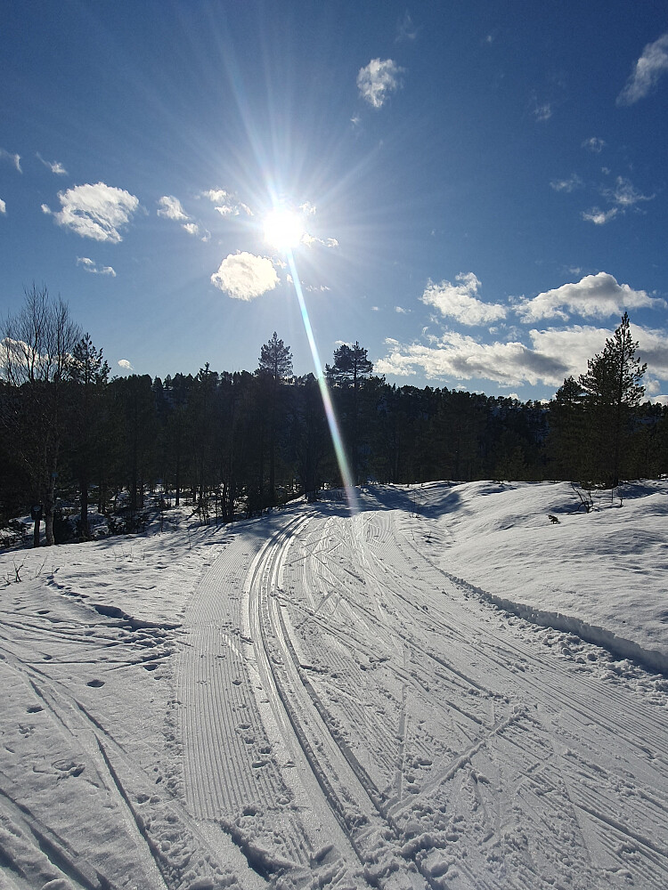 Ved stikk-uten i Hindalen 