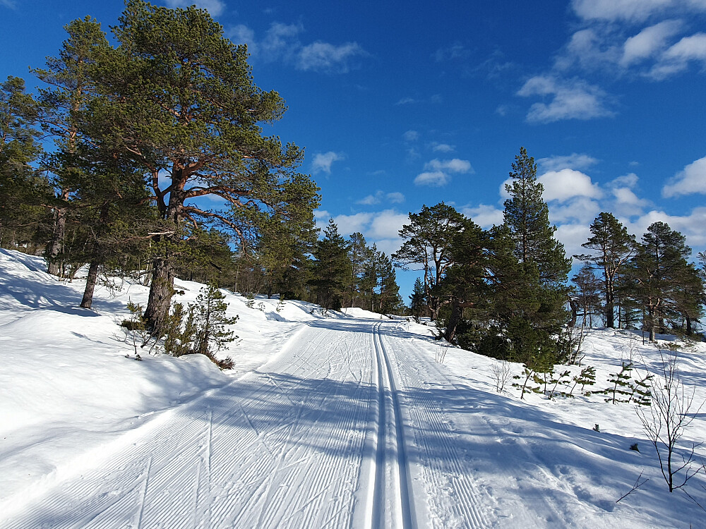 Hindalen 
