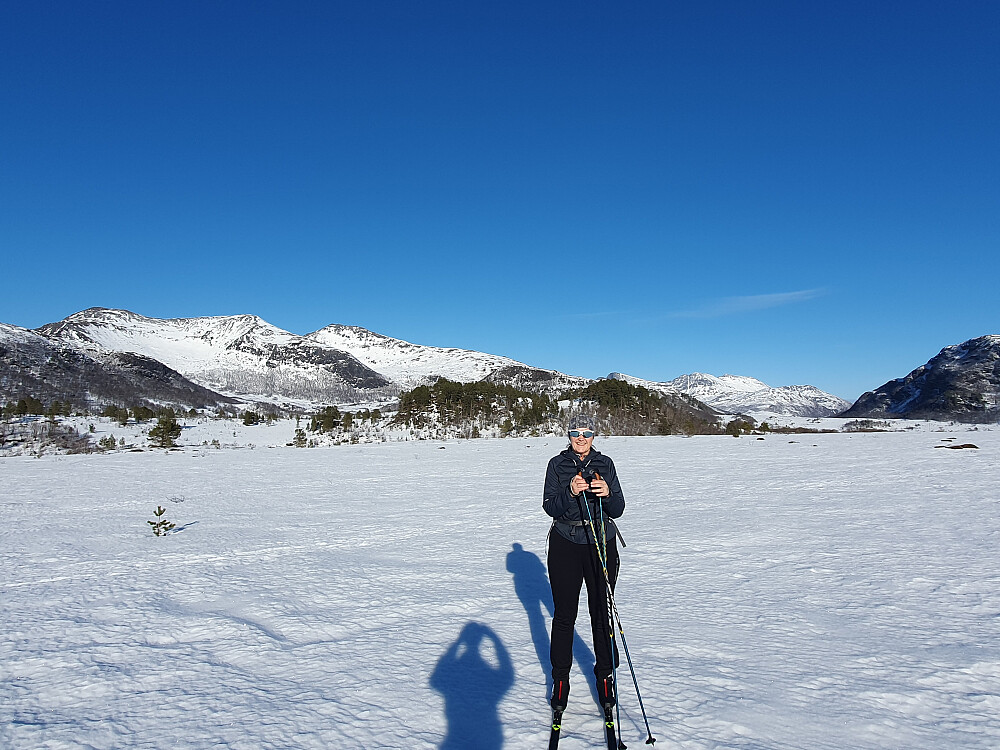 Berrmyran - fint å gå på skaren i dag 