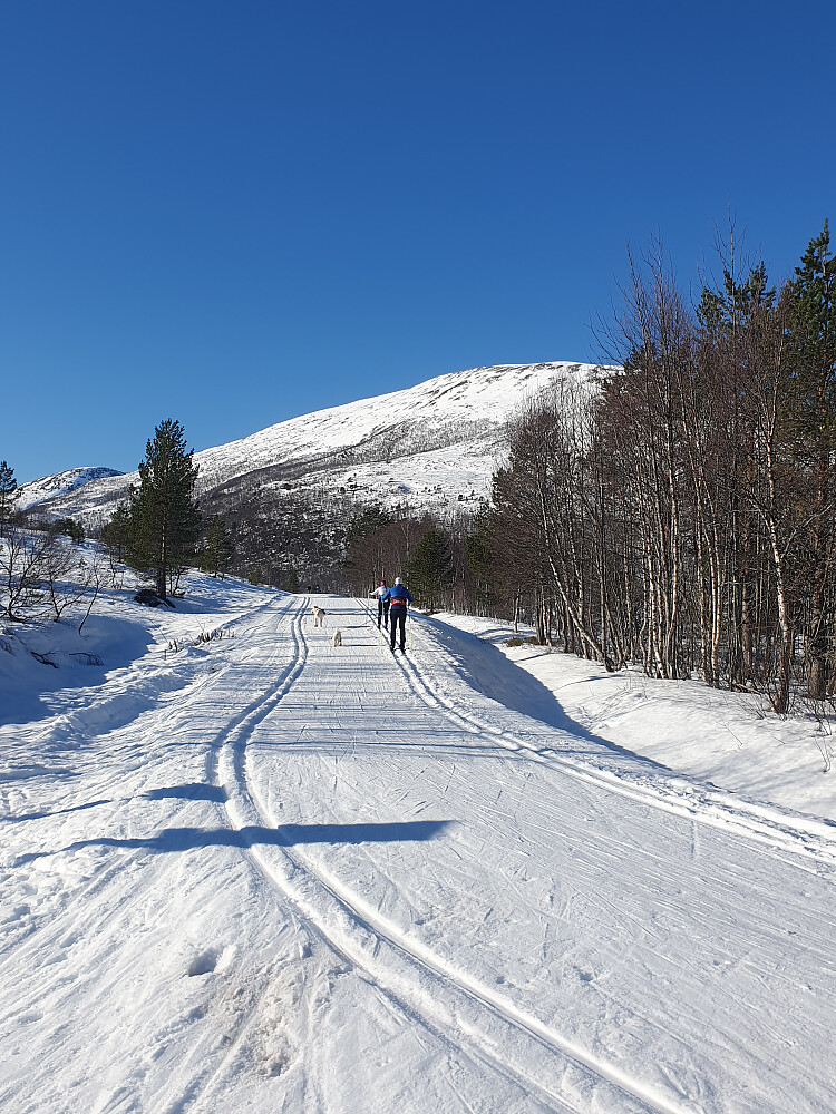 V/Gunnillbu - mot Urfjellet 