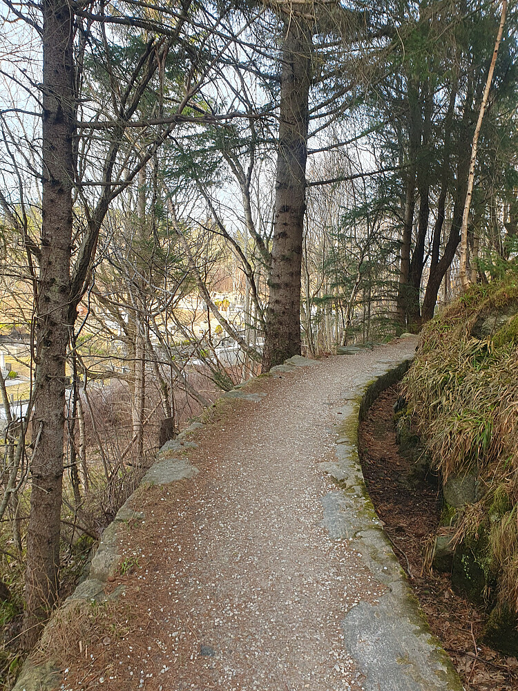 Veldig fint turterreng. Varierte gangveger/stier.