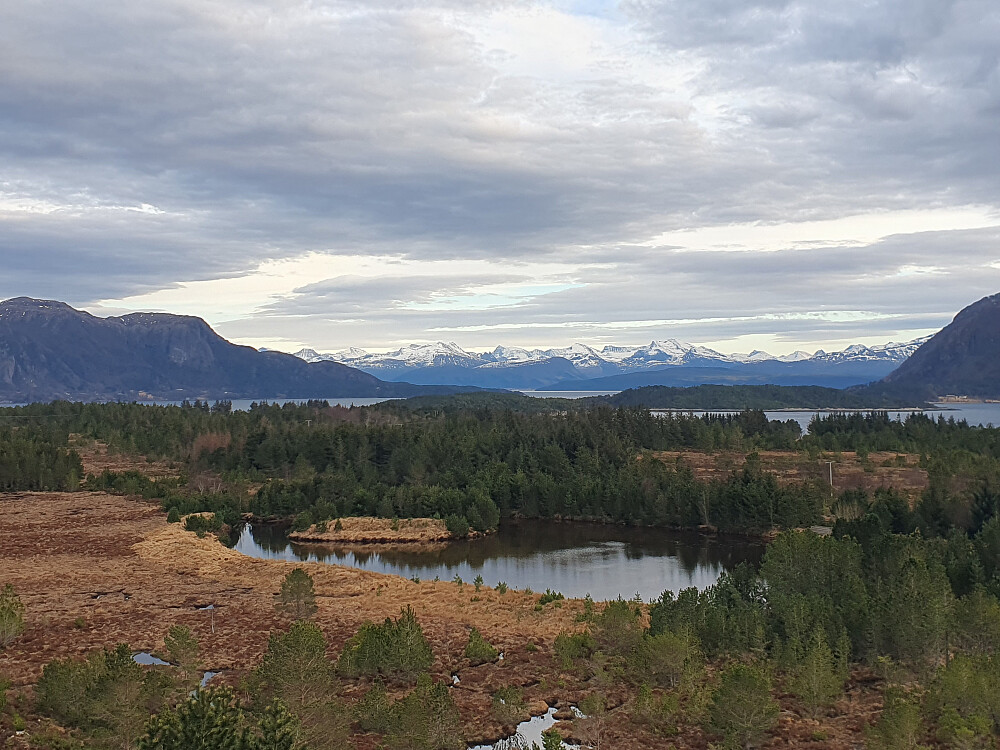 Mot Halingshola og Romsdalsalper