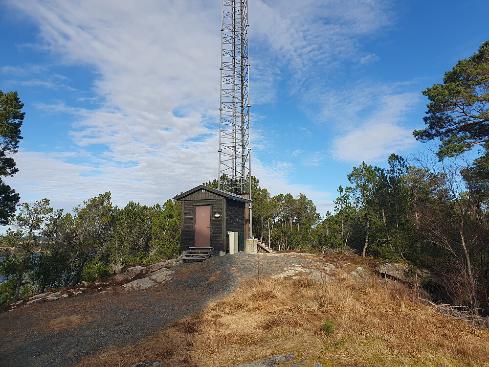 Først en svipp opp bilvegen til Hukkelberget 