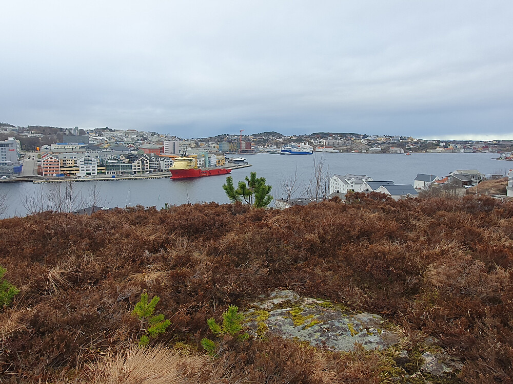 På Wesselhaugan vest