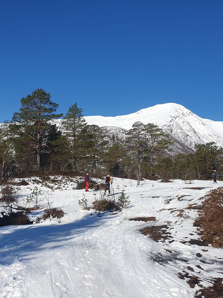 Tynt snødekke fra start, men skiføre hele vegen 