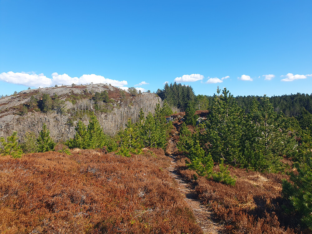 Over mot Jærmannburet 
