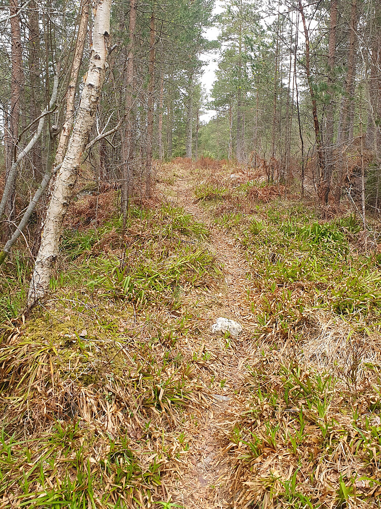 Finere ned mot sørøst