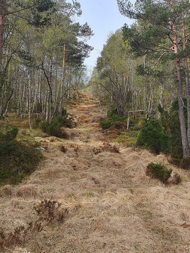Opp fra nordøst - litt bløtt og lite brukt