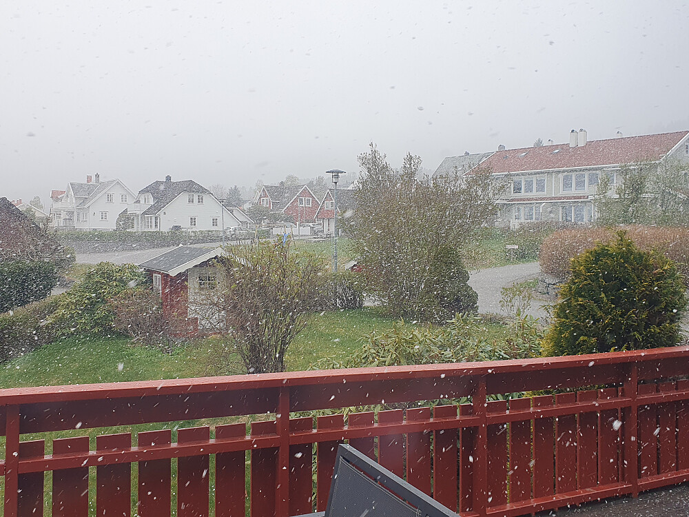 Fra kraftige snøbyger..