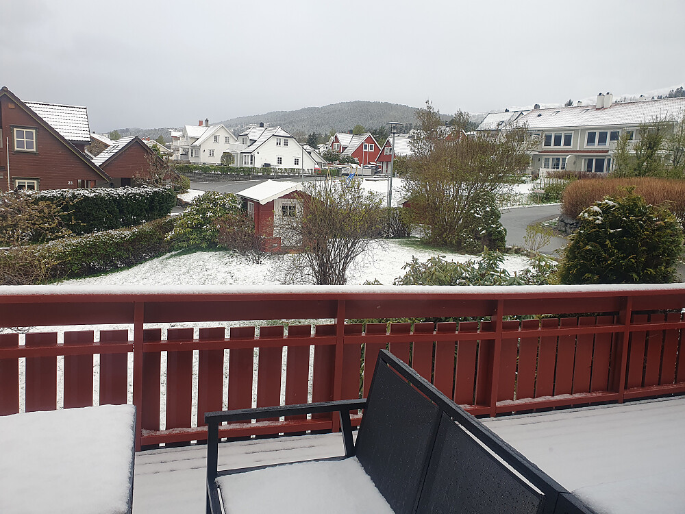 Hvitt fra morgenen i dag 