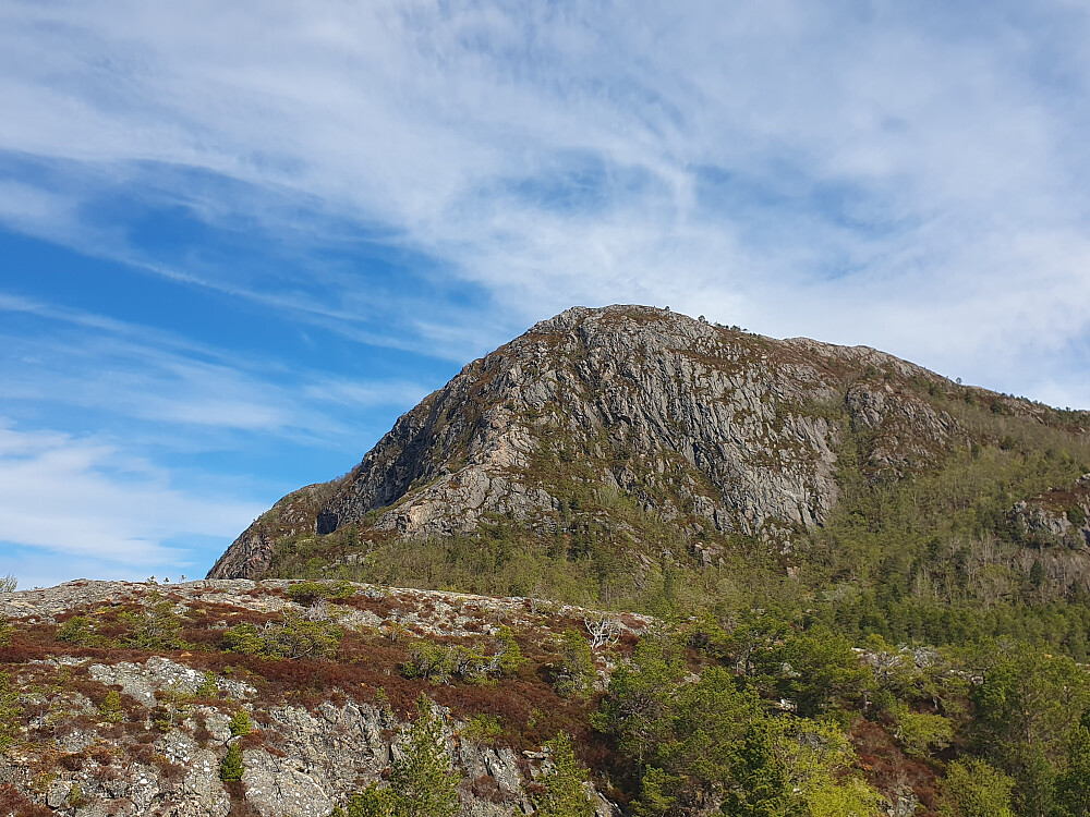 Vardfjellet 