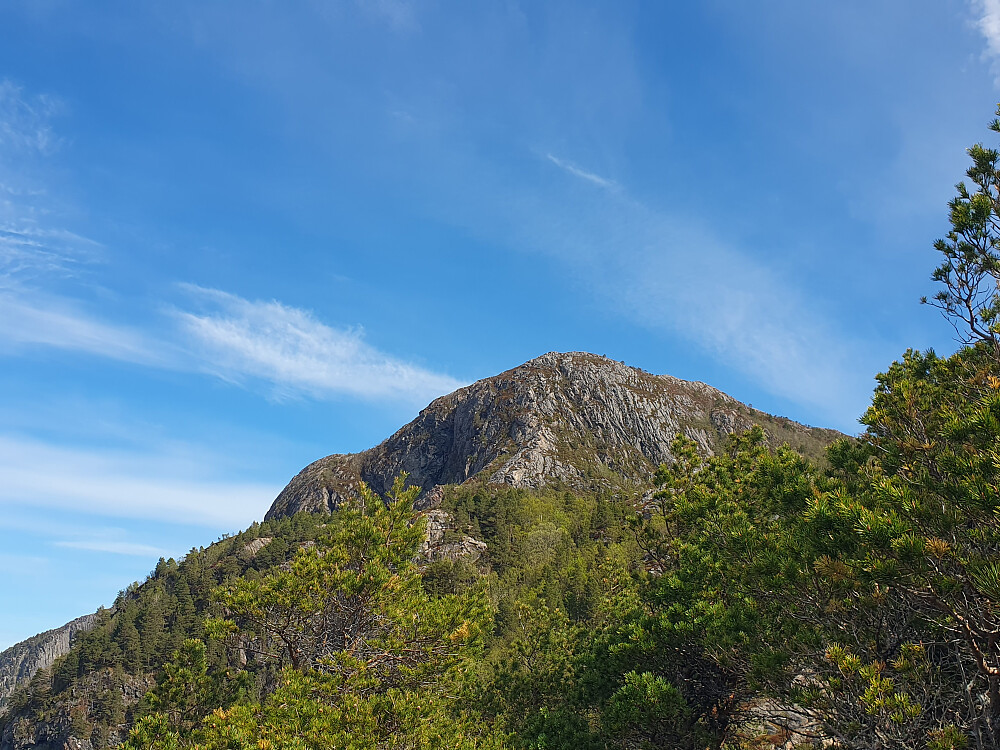 Vardfjellet sett fra Stor-Julaksla 