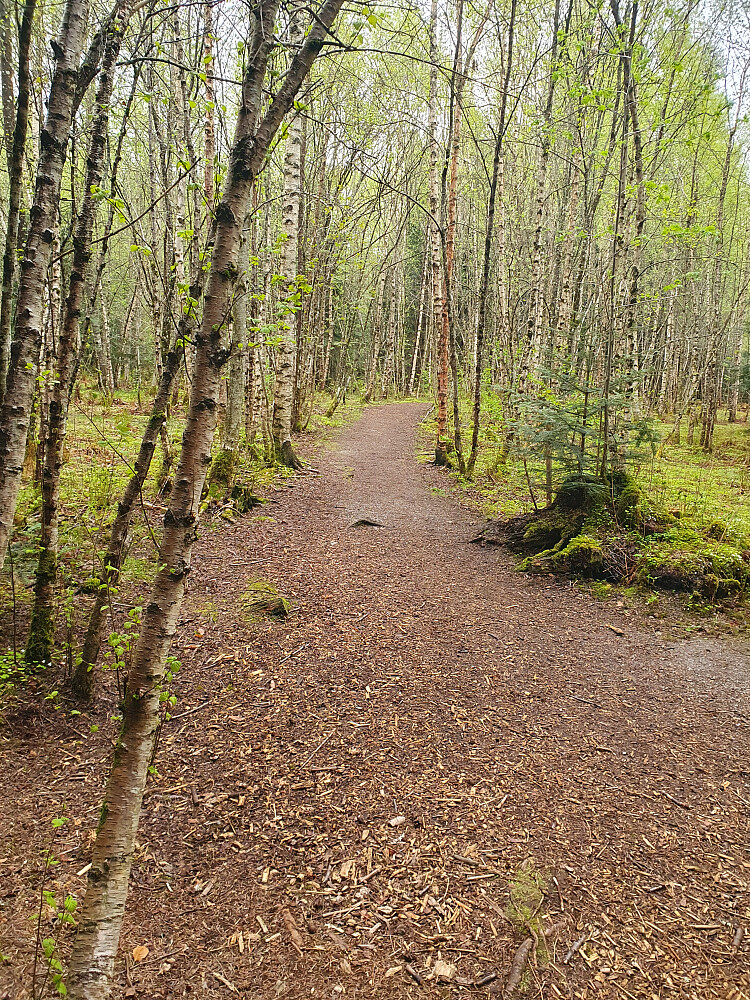 Retiroskogen 