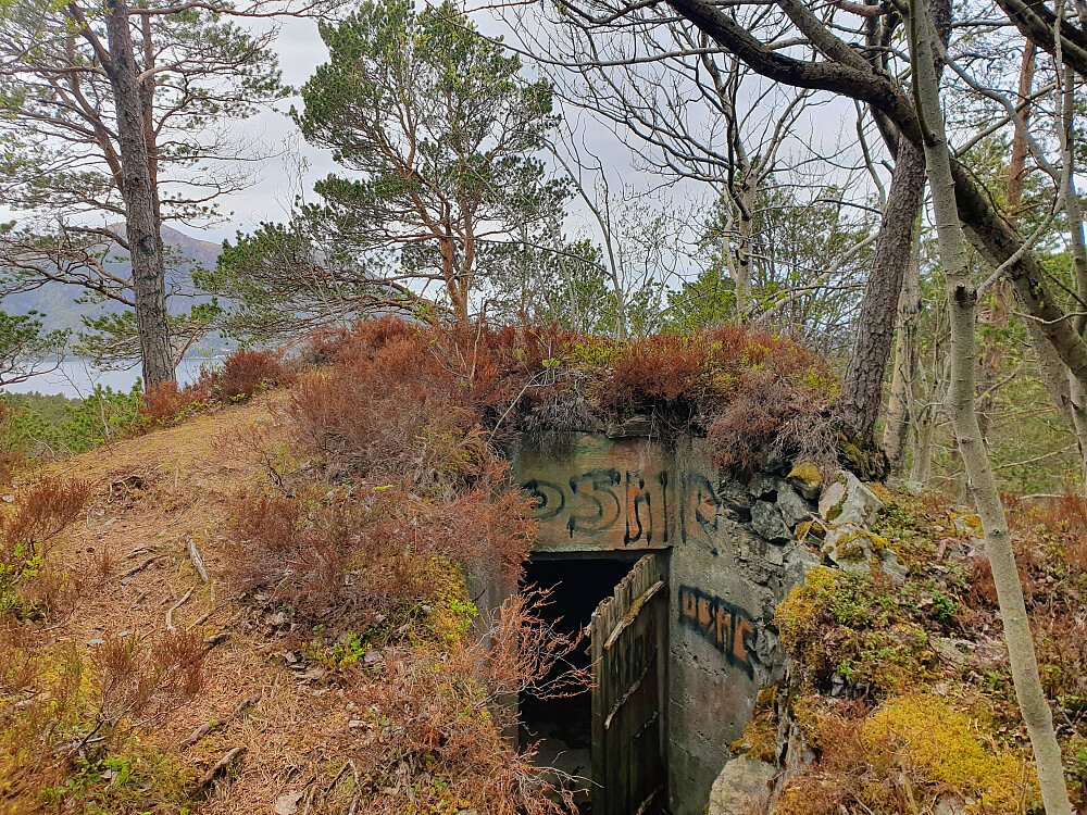 Storhaugen 