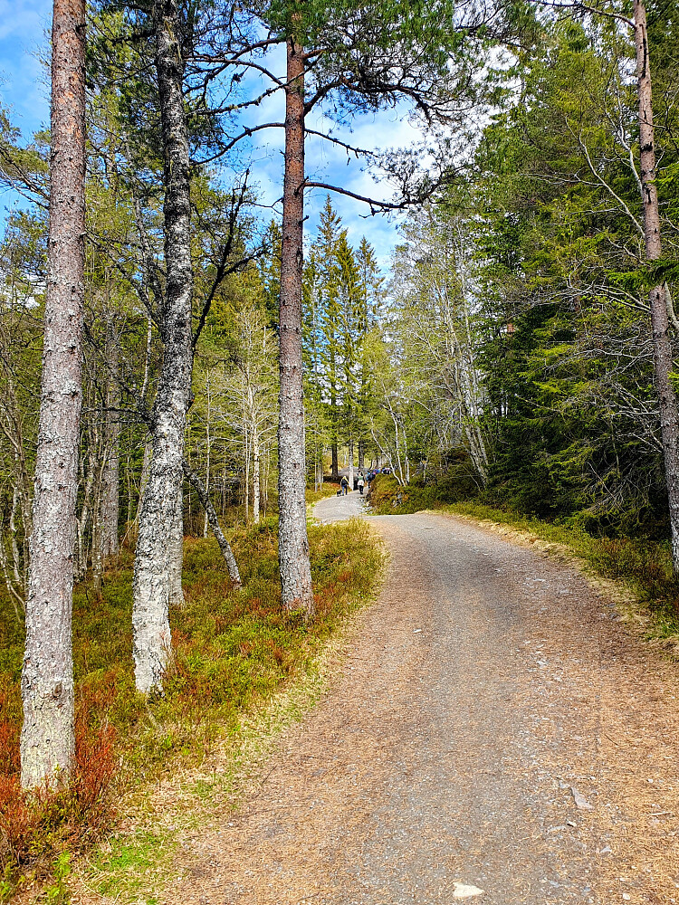 Opp mot Varden 