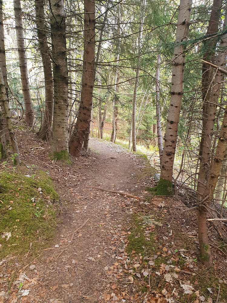 Retiroskogen 