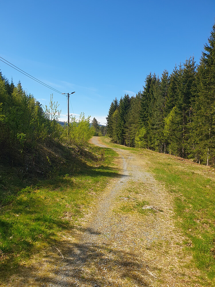 I lysløypa