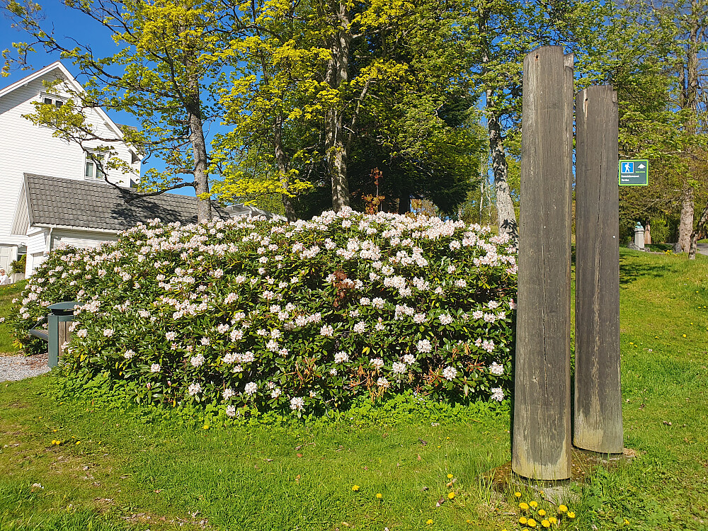 Inn i Reknesparken