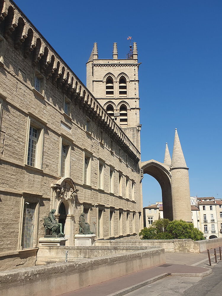 Katedralen (Cathedral de Pierre)