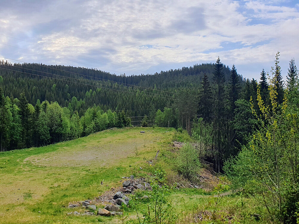 Sletta i gode gamle Balbergbakken, med Rundhaugen bak. 