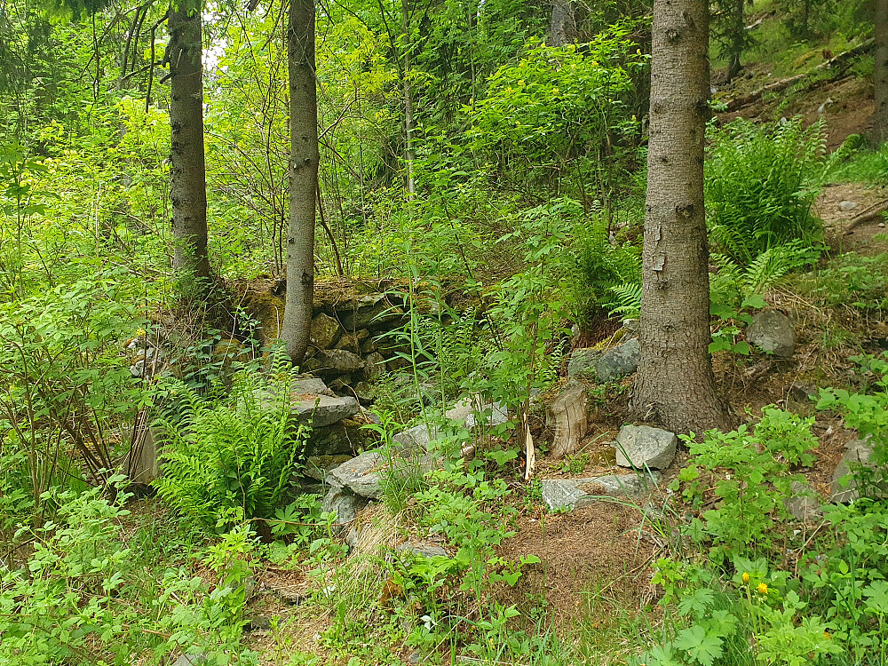 Høyenhall 