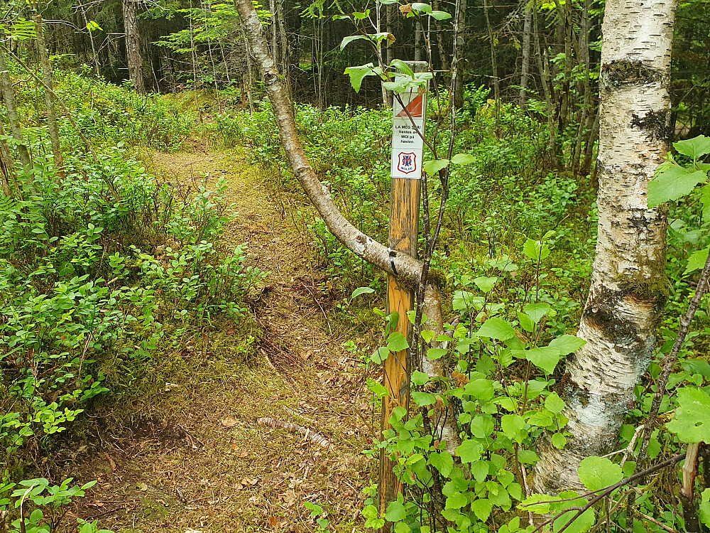 Retirohaugen