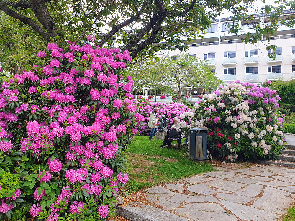 Alexandraparken