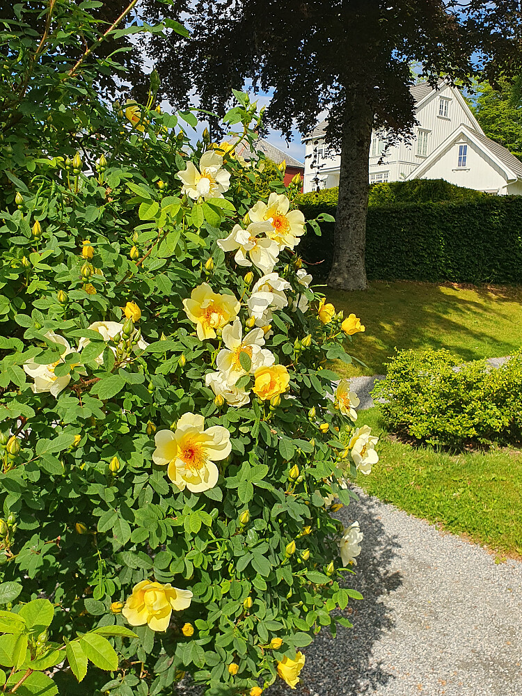 Chateauparken