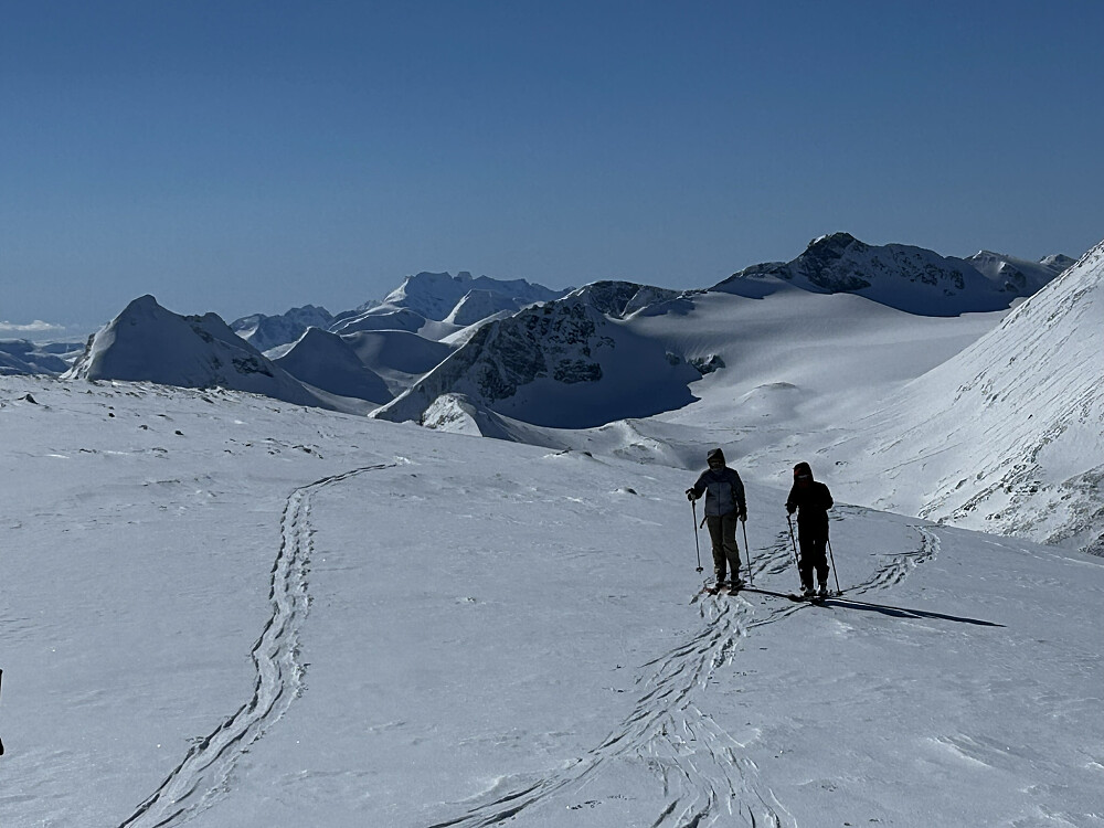 Lekker utsikt fra Spiterhøe. Bukkeholstinder i bakgrunnen. Totalt 17 stk av de
