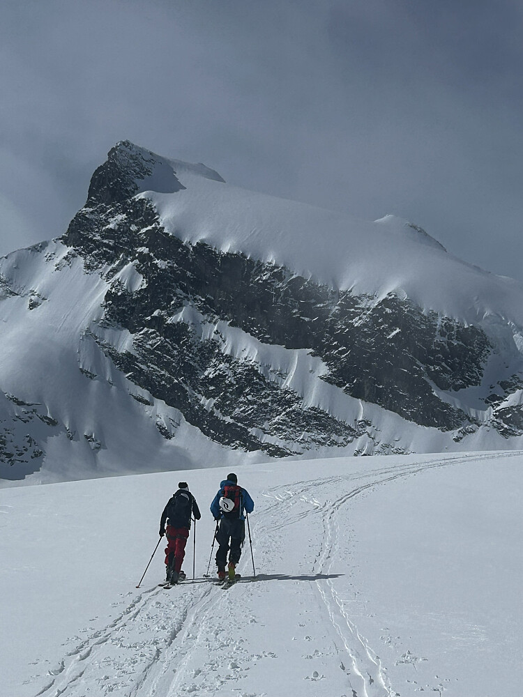 Storebjørn, en av jotunheimens fineste vårskiturer